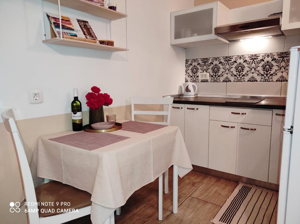 Nice Apartment In The City Center Rovinj Extérieur photo